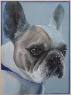 Dogs of Queens Park work 01 by Stephanie Têtu
