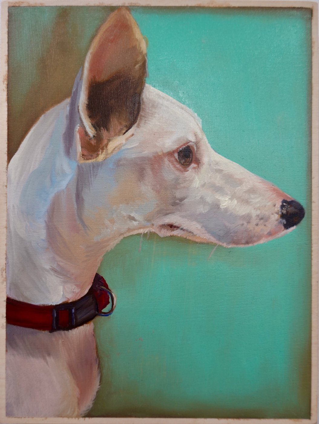 Dogs of Queens Park work 03 by Stephanie Têtu